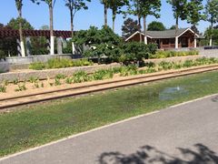 -永定河休闲森林公园