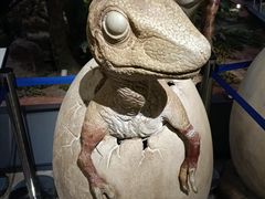 -湖南省地质博物馆