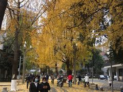 -四川大学(华西校区)