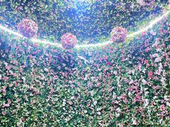 -蓬莱欧乐堡梦幻世界