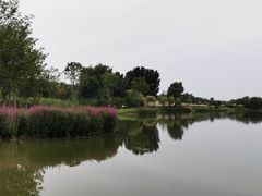 -东郊湿地公园