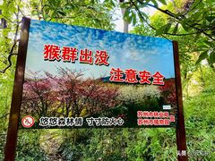 -苏州上方山国家森林公园