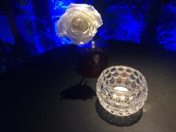 -格乐利雅婚礼艺术中心(浦东花木店)