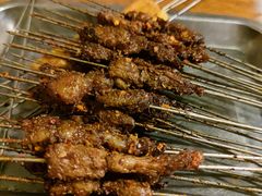 -福苗小骆驼烧烤(莲湖路店)