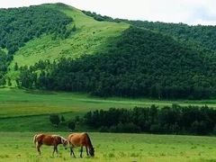 -塞罕坝国家级自然保护区