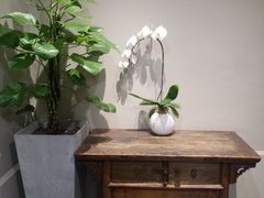 -DFS旗下T广场(新加坡店)