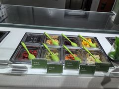 -Salud撒露欧洲冻酸奶(北苑上品店)