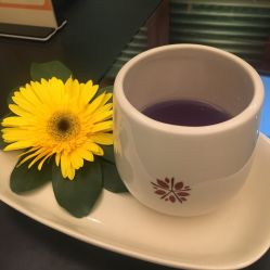 -悦椿SPA