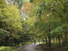 -长春市南湖公园