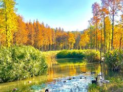 -云碧峰国家森林公园