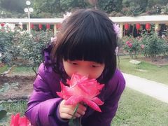 -人民公园(罗湖区)