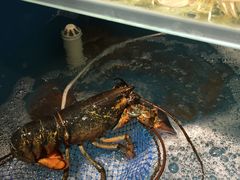 -小城故事·地道宁波味(月湖盛园店)