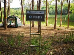 -东郊湿地公园