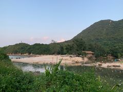 -杨梅坑