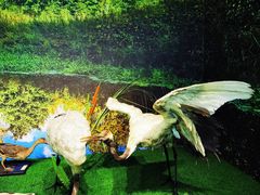 -辽宁大学(崇山校区)