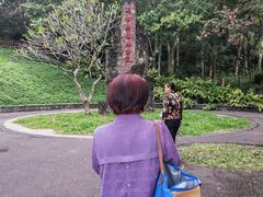 -王借岗森林公园