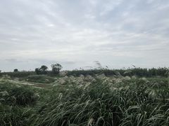 -鄱阳湖国家湿地公园