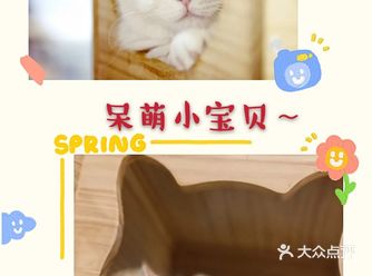 总体印象：气氛温馨，项目有特色，有安全陪护