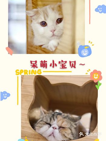 总体印象：气氛温馨，项目有特色，有安全陪护