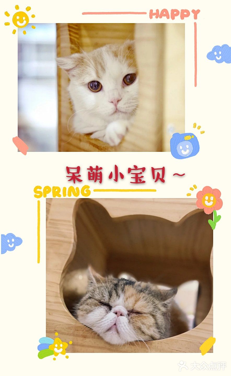 快来和小宠物互动吧[加油]