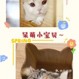 快来和小宠物互动吧[加油]