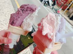 -柠檬车露(卖草地店)