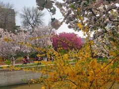 -元大都城垣遗址公园