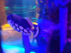 -沈阳海洋探索中心