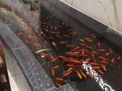 -新世界大丸百货