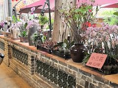 -园林美食城·本土农家菜(杨和镇店)