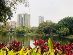 -晓港公园
