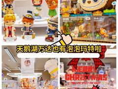 -万达广场(合肥天鹅湖店)