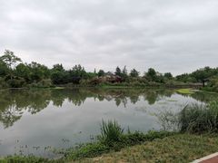 -桤木河湿地公园