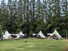 -前小桔亲子创意农场·草莓采摘·露营烧烤