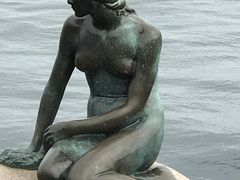 -美人鱼
