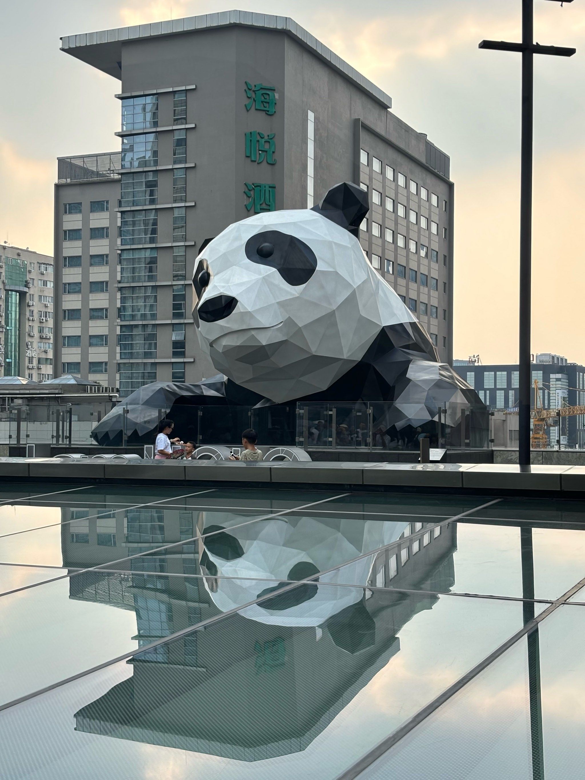 成都ifs的熊猫🐼宝宝