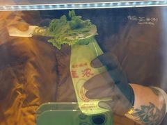 -鹤茶野所(上海首店)