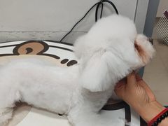 -宠颐生宠物医院·综合诊疗(先锋分院)