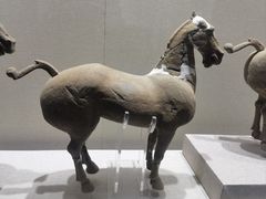 -烟台市博物馆