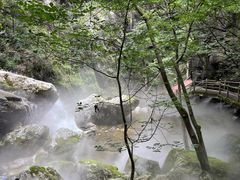 -牛背梁国家森林公园