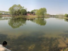 -大兴滨河森林公园