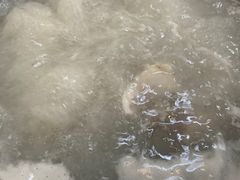 -源港渔村-中山脆肉鲩(博罗店)