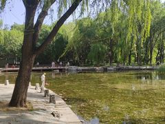 -玲珑塔公园