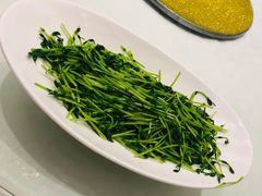 -宝燕壹号(徐汇店)