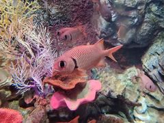 -太平洋海底世界