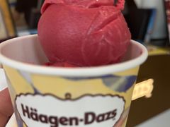 -哈根达斯(龙湖时代天街店)