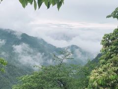 -瓦屋山景区