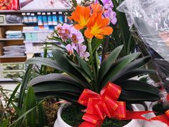 -大润发(梅兰东路店)