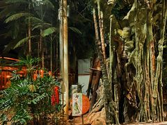 -龙达温泉生态城