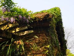 -南山植物园
